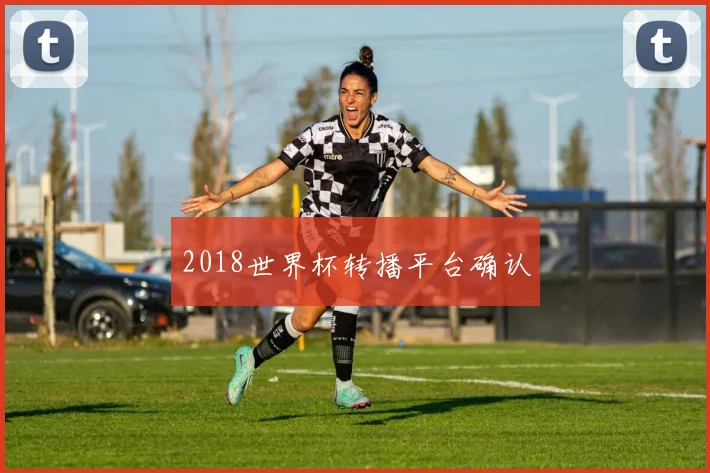 2018世界杯转播平台确认