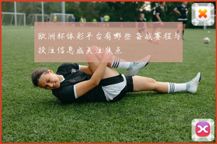 欧洲杯体彩平台有哪些 备战赛程与投注信息成关注焦点
