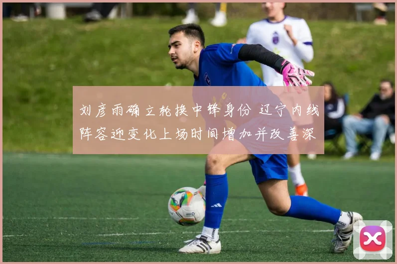 刘彦雨确立轮换中锋身份 辽宁内线阵容迎变化上场时间增加并改善深度
