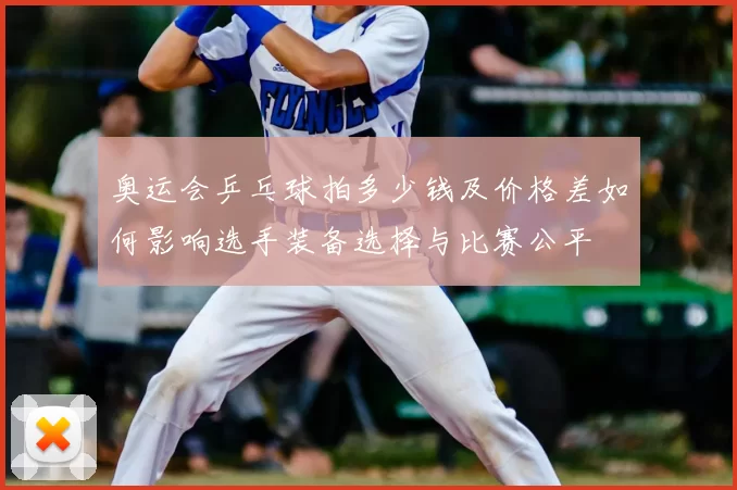 奥运会乒乓球拍多少钱及价格差如何影响选手装备选择与比赛公平