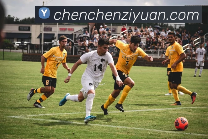 App Interface Preview